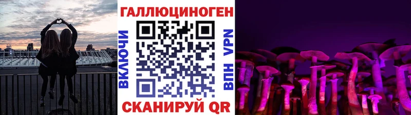 Галлюциногенные грибы прущие грибы  Вышний Волочёк 