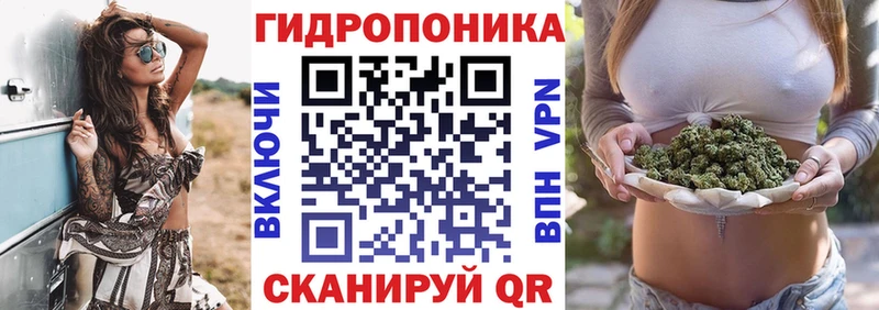 где найти   Вышний Волочёк  Бошки Шишки Amnesia 